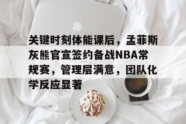 开云体育下载-关于关键时刻体能课后，孟菲斯灰熊官宣签约备战NBA常规赛，管理层满意，团队化学反应显著的信息